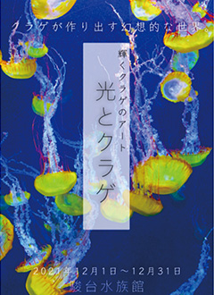 Cavalry-Battle画像