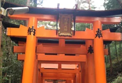 伏見稲荷大社(京都)